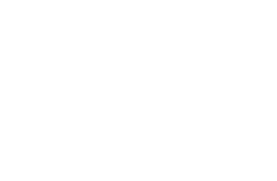 NOIR™ Court